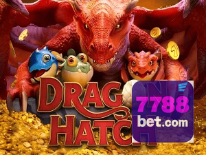 BET7788 PIX instantâneo Brasil - Depósito e saque em minutos 24/7